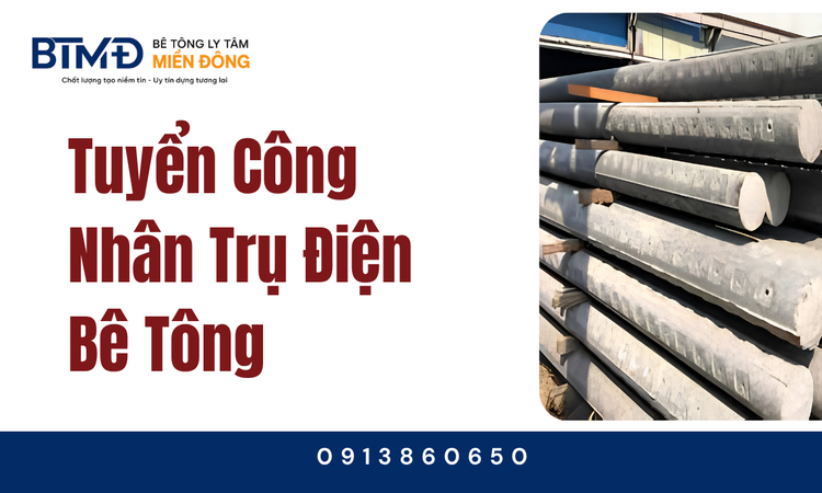 Tại sao nên chọn đồng hành cùng Bê Tông Miền Đông?